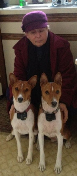 alapocas basenjis