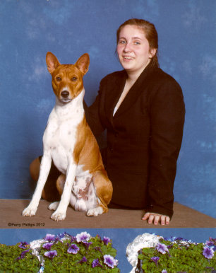 basenji puppies alapocas breeder simon