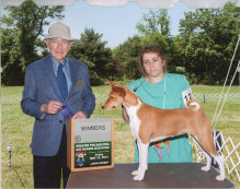 basenji puppies alapocas breeder gala