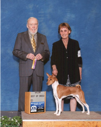 basenji puppies alapocas breeder jasper